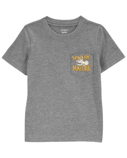 Carter's Toddler Dinosaur Graphic Tee