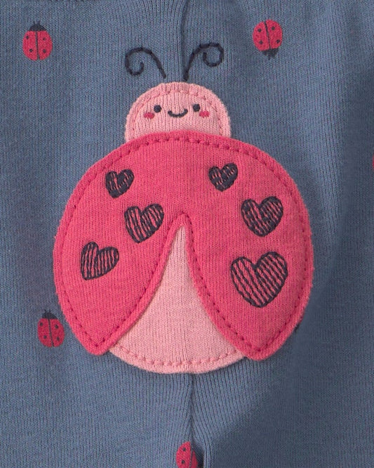 Carter's Baby Girl LadyBug Little Character Set