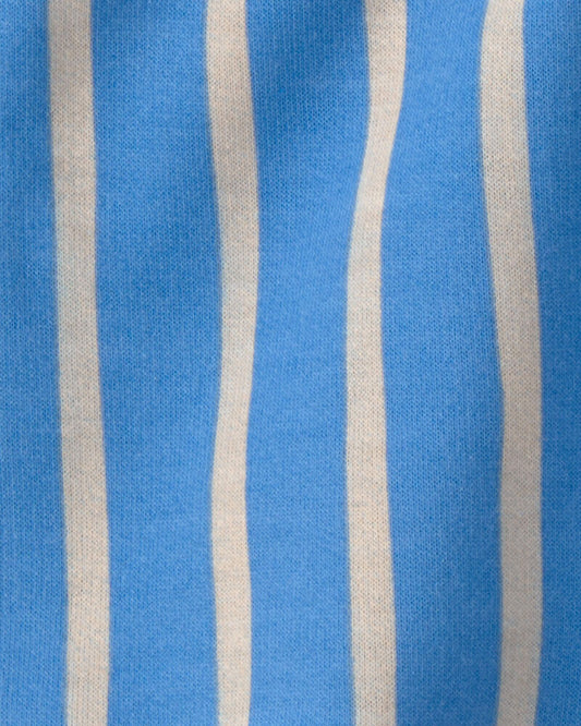 Carter's Baby Boy 2-Piece Seagull Top & Short Set - Brown/Blue