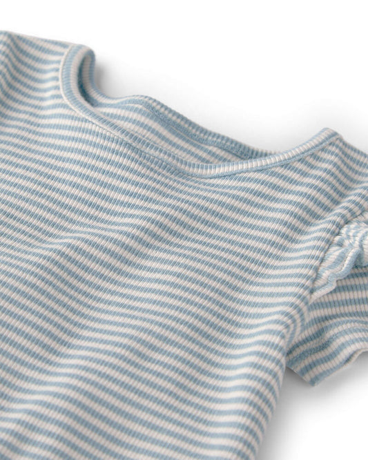 Baby Girl 3-Pack Organic Cotton Flutter Bodysuits