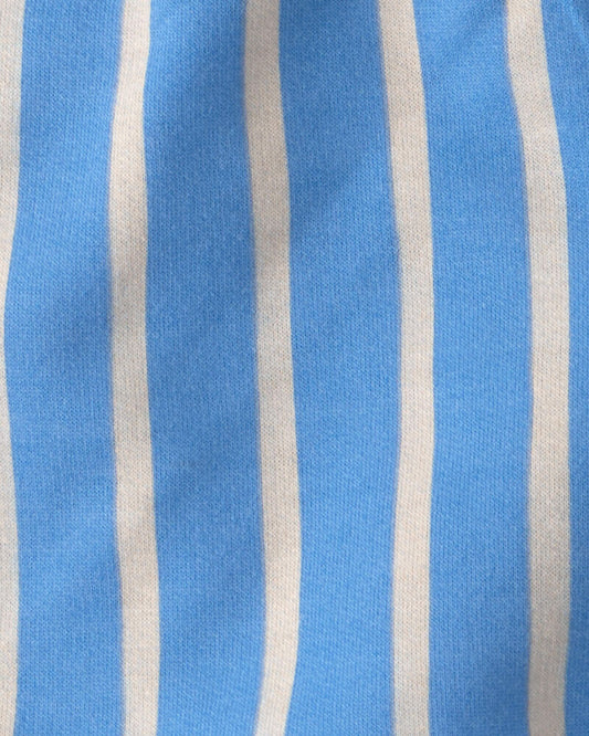 Carter's Toddler Boy 2-Piece Seagull Top & Short Set - Brown/Blue