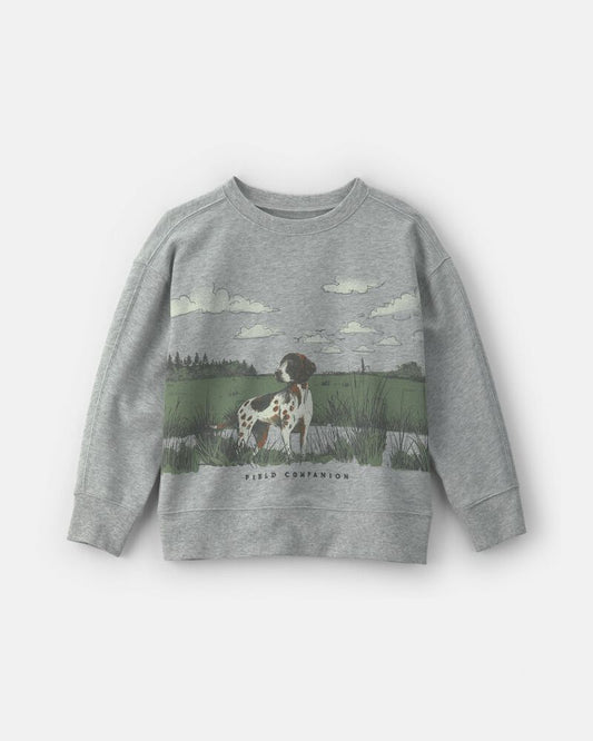 Carter's Boys Dog French Terry Pullover Sweatshirt - Grey