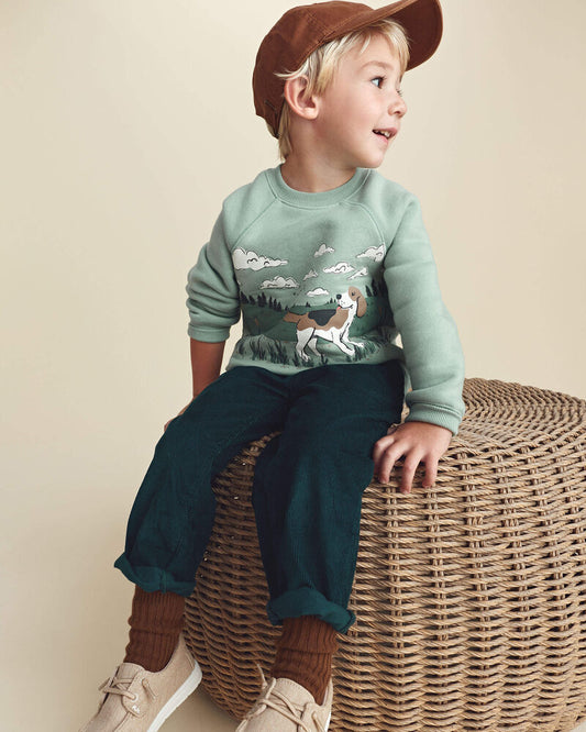 Carter's Toddler Boy Dog Fleece Pullover Sweatshirt - Green