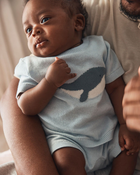Carter's Baby 2-Piece Whale Short-Sleeve Sweater Top & Short Set - Blue